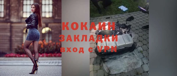 кокс Вяземский