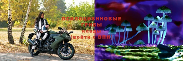 круглые Абаза