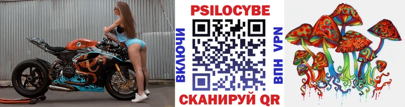 Галлюциногенные грибы ЛСД  как найти   Елизаветинская 